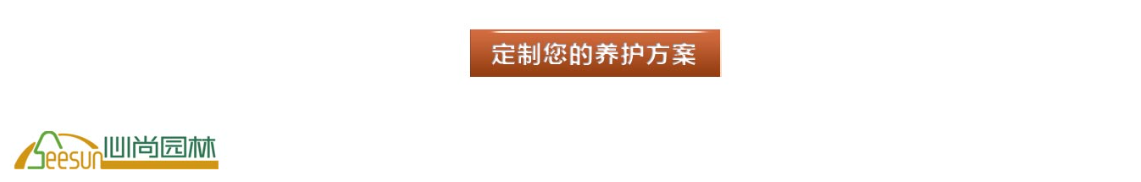 南宫NG·28(集团)相信品牌实力有限公司
